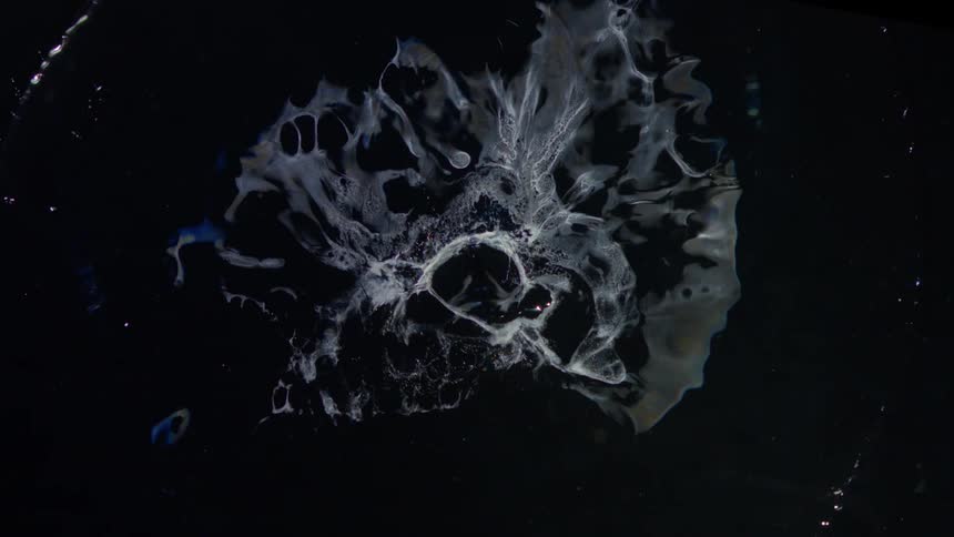 Abstract liquid on a black background expanding