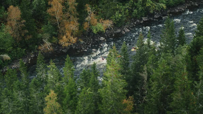 Aerial view of a fastflowing river surrounded by dense vegetation and people falling out of a kayak