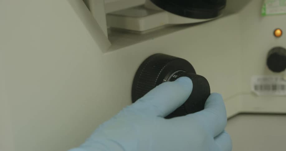 Blue gloved hand handling medical equipment in a laboratory