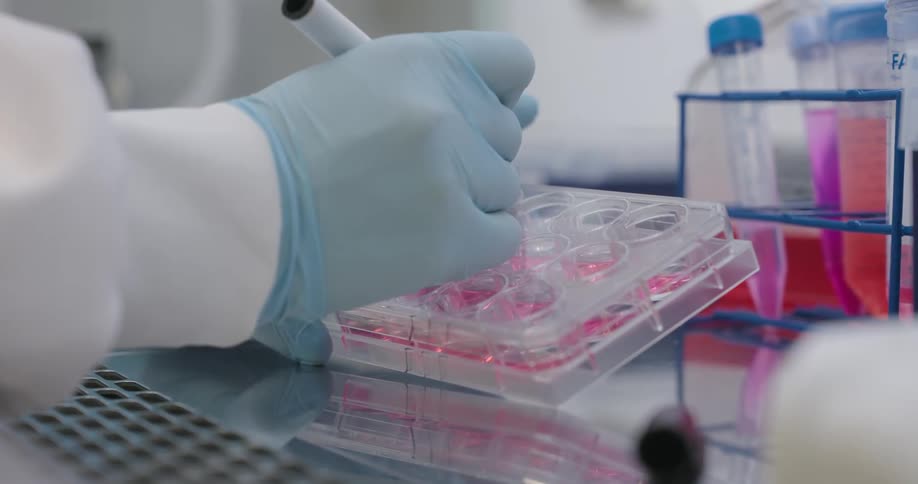 Lab technician working in the lab labels a small container