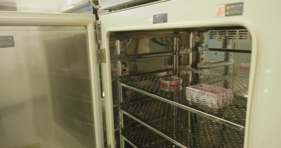 Hands of a person with blue gloves placing vials inside a cooler in a laboratory