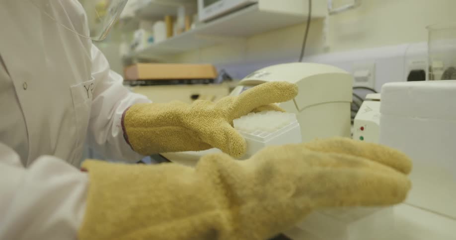 Gloved hands handle laboratory equipment