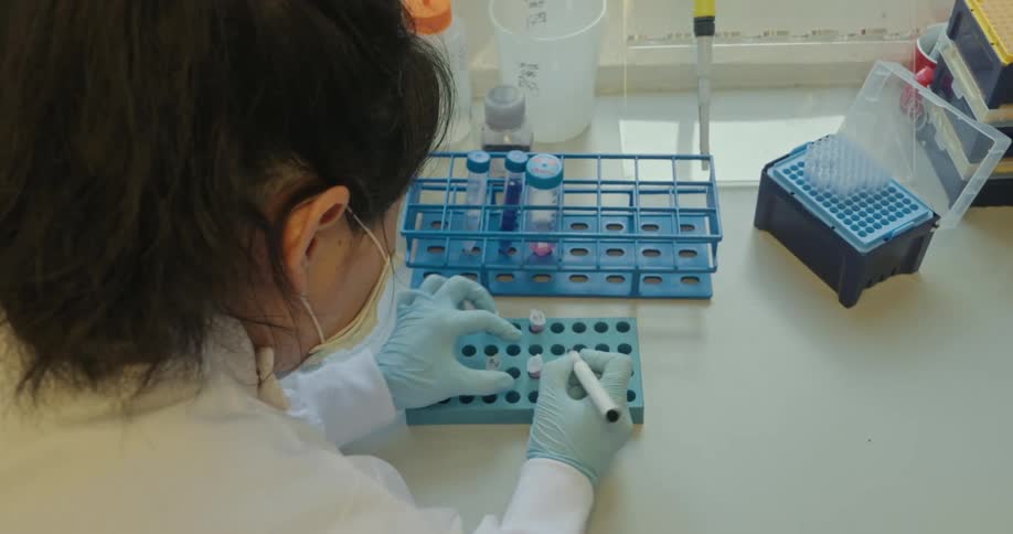 Woman with a pen making notes on test tubes in a laboratory
