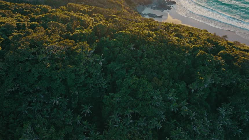 The island is covered with trees