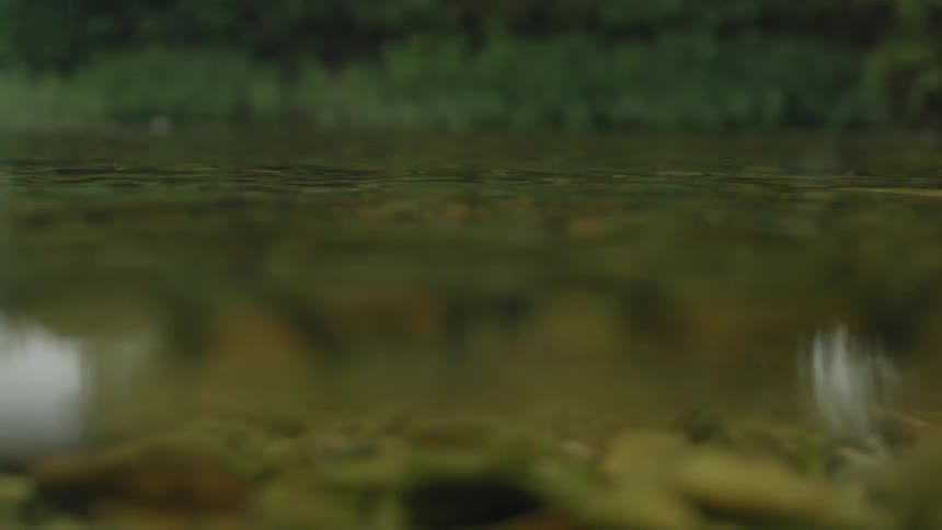 A shallow body of water with some pebbles on the bottom and some ripples on the surface