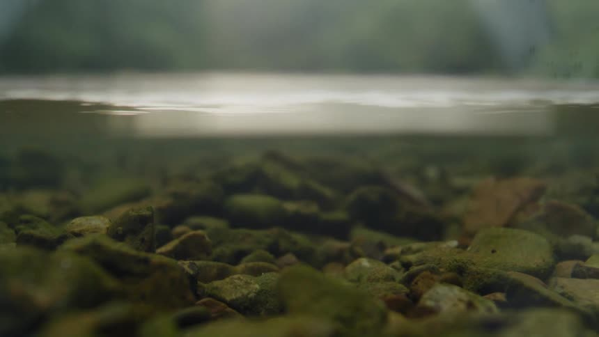 Small rocks are under the shallow water