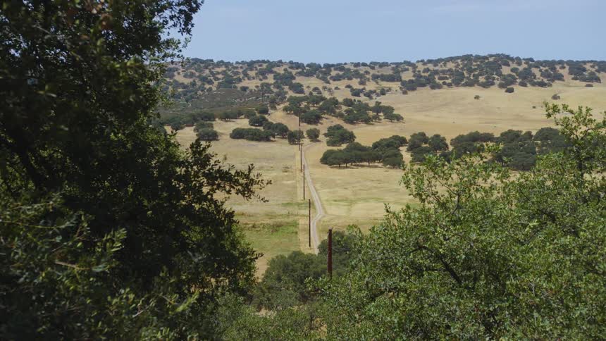 A long dirt road stretches into the distance lined by scattered trees and rolling hills