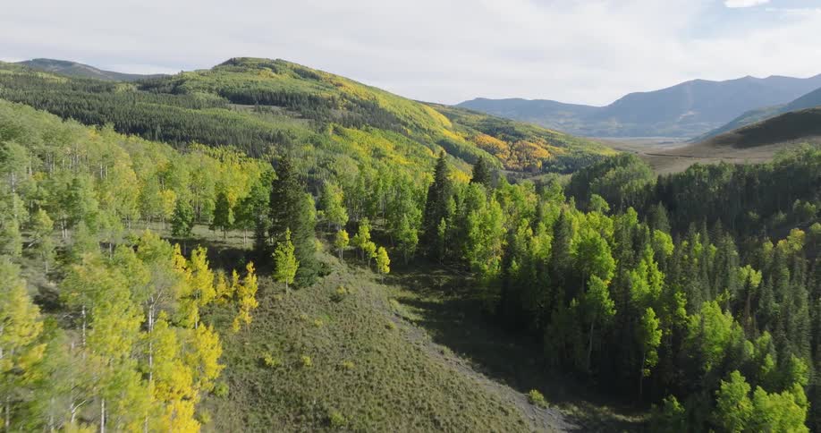 Aerial panorama of mountains with conifers