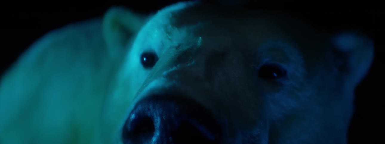 A taxidermied polar bear