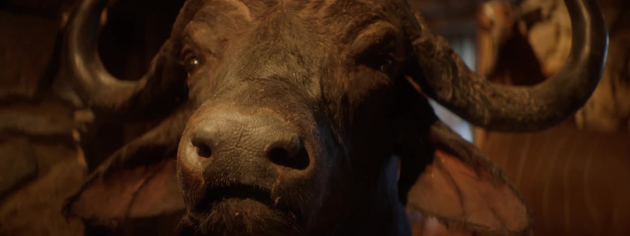 Closeup of a buffalos face with horns in an artistic and realistic representation