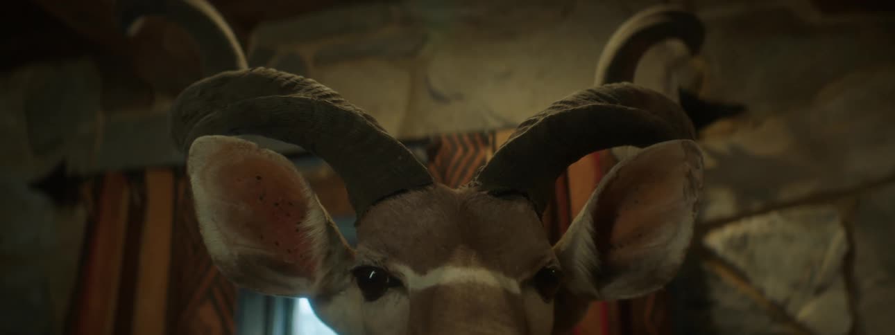 Close up of a horned animal inside a house