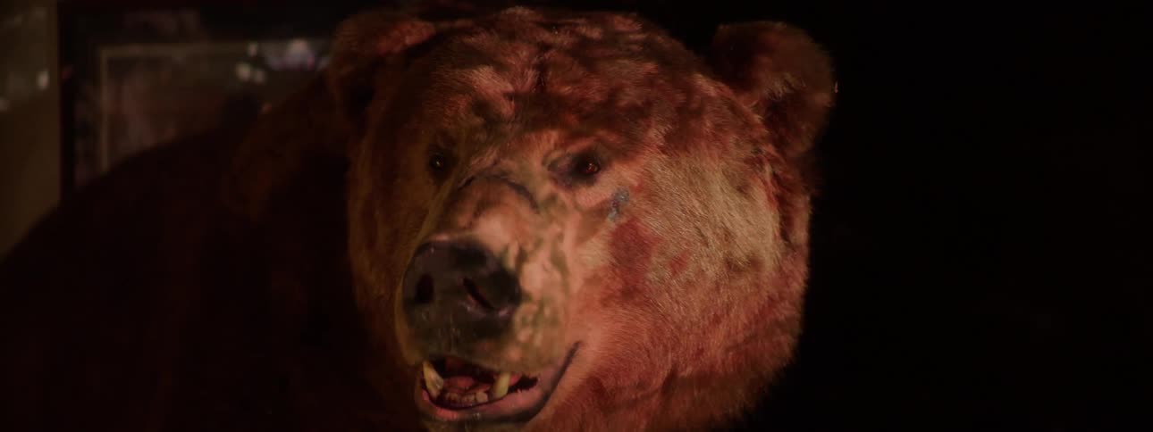Close up of a fake bear