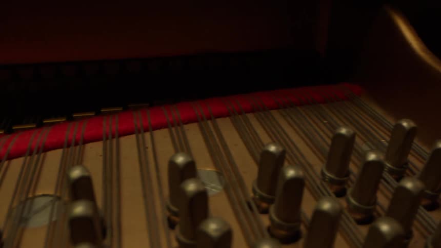 Pins and strings inside a piano