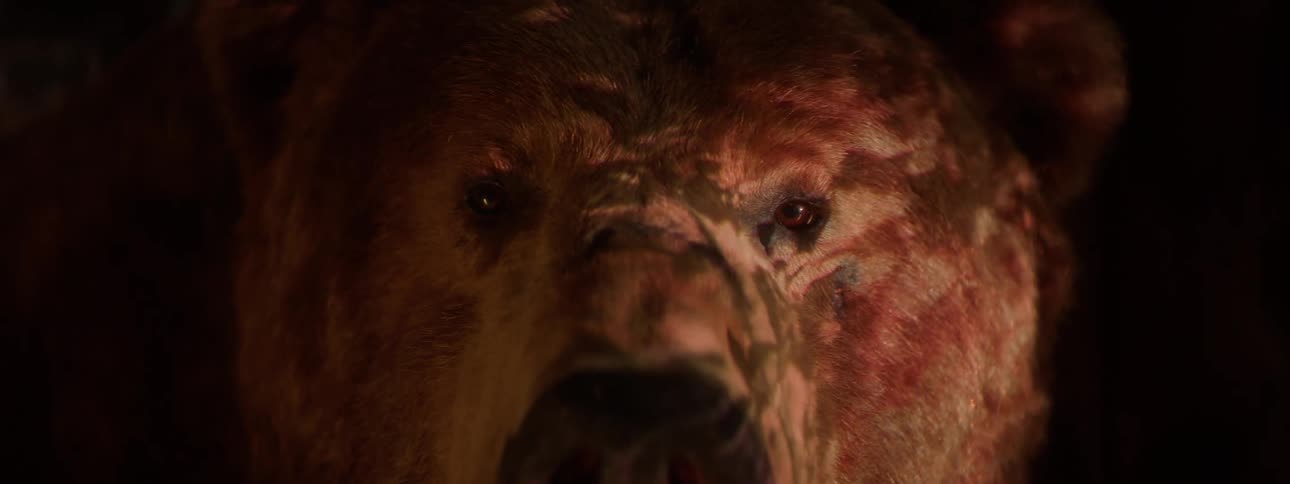 Closeup of an animals face on display with reflection of lights