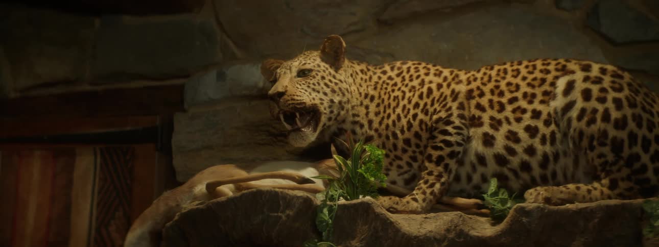 A stuffed leopard is on the wall