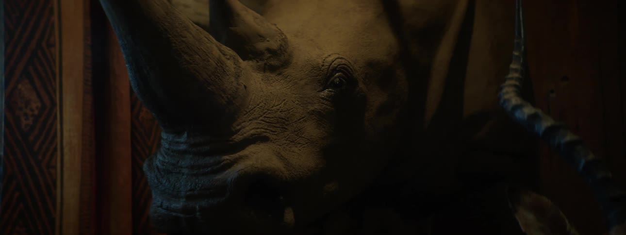 A taxidermied rhinoceros head mounted on a wall