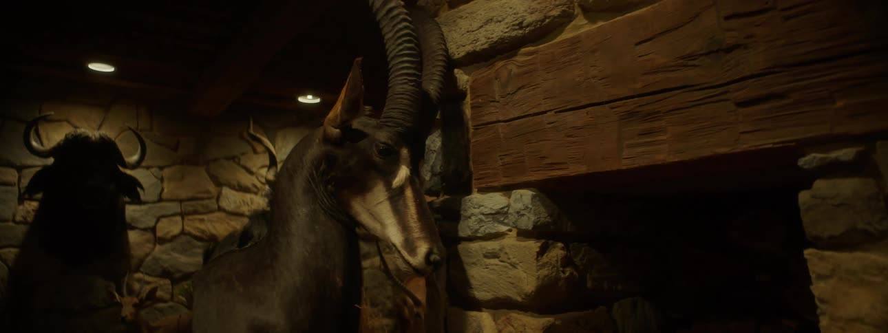 Indoor space with artistic exhibitions of horned animals