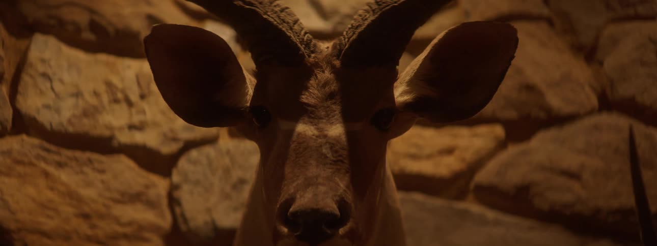 Head of a goat with horns on a wall