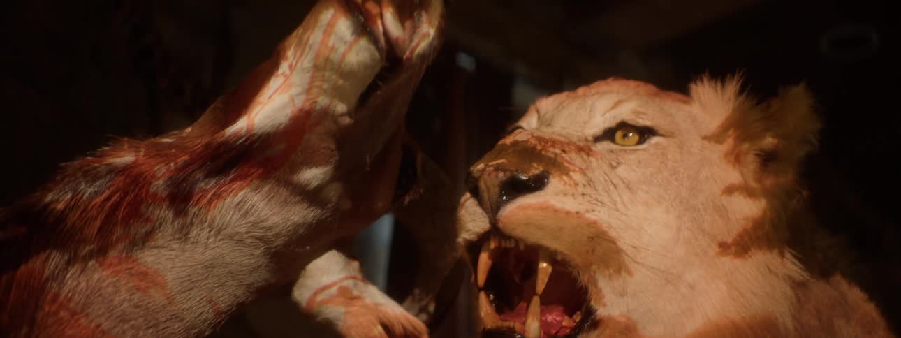 A taxidermied lion is displayed in a museum exhibit roaring with its mouth open