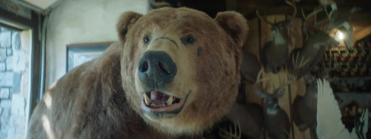 Brown bear an art exhibition