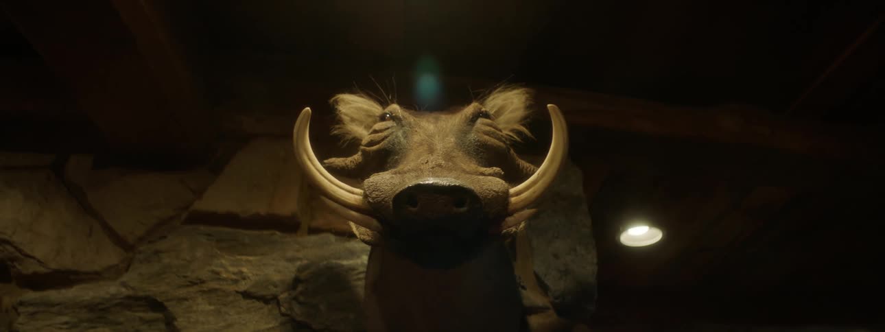 A closeup of a mounted warthog head on a rugged wall