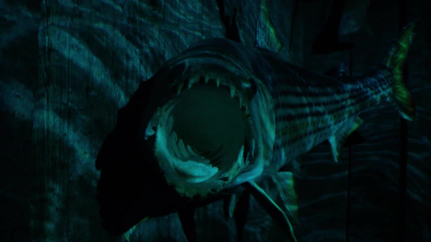 Wooden fish on the wall with its mouth open