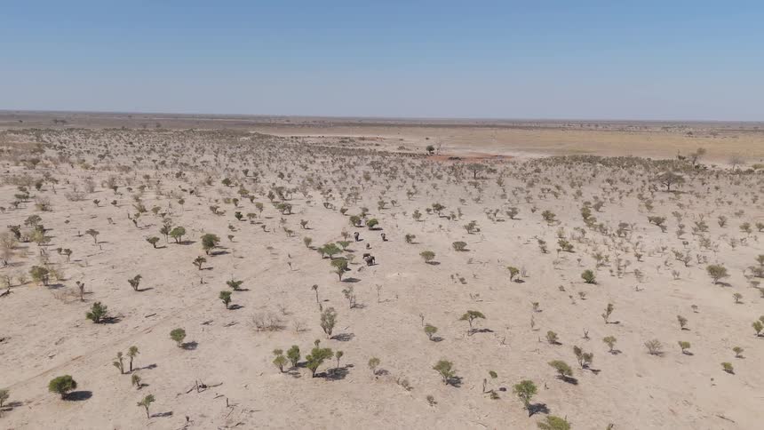 Aerial view of desert with sparse low vegetation