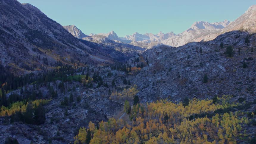 Yellow trees are around the mountain