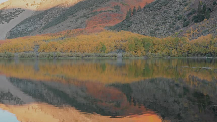 Water in a lake flows by a mountain with a forest growing on the slope