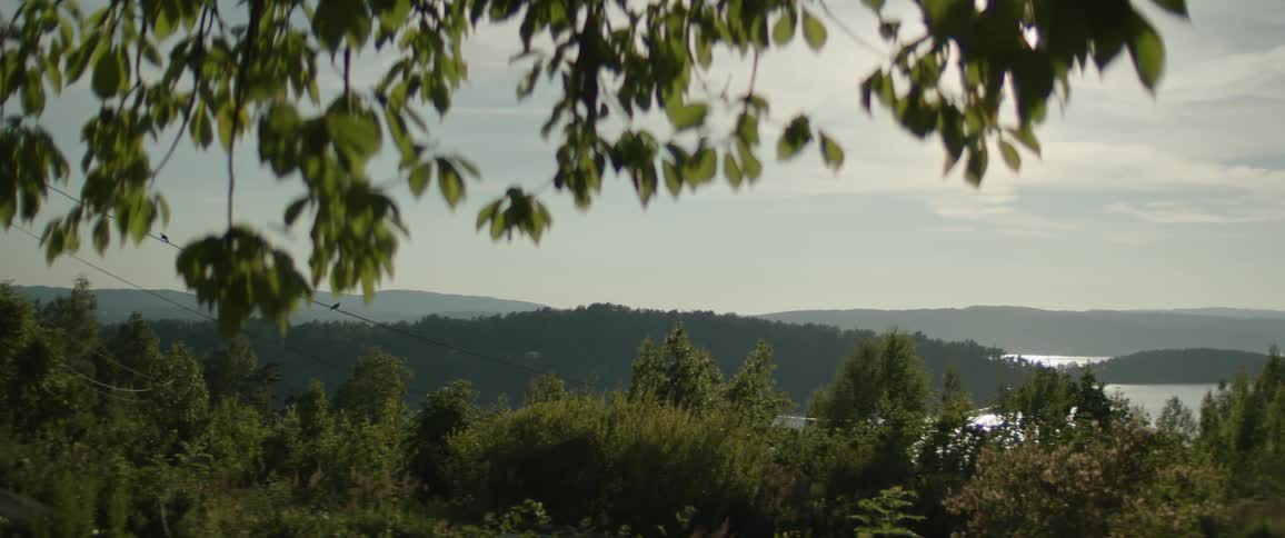 The hills by the lake are covered with trees