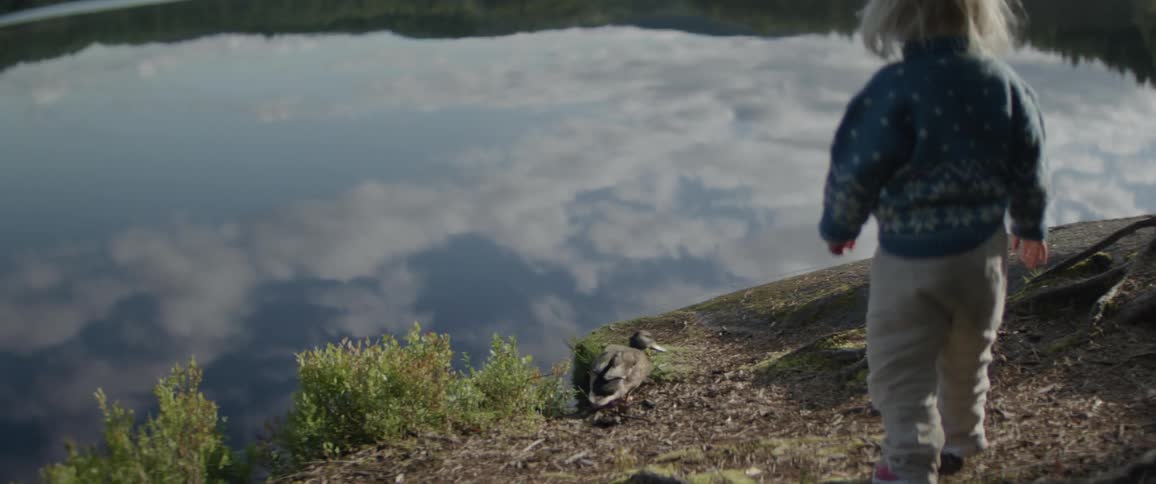 Little blonde child walking behind a duck by the lake