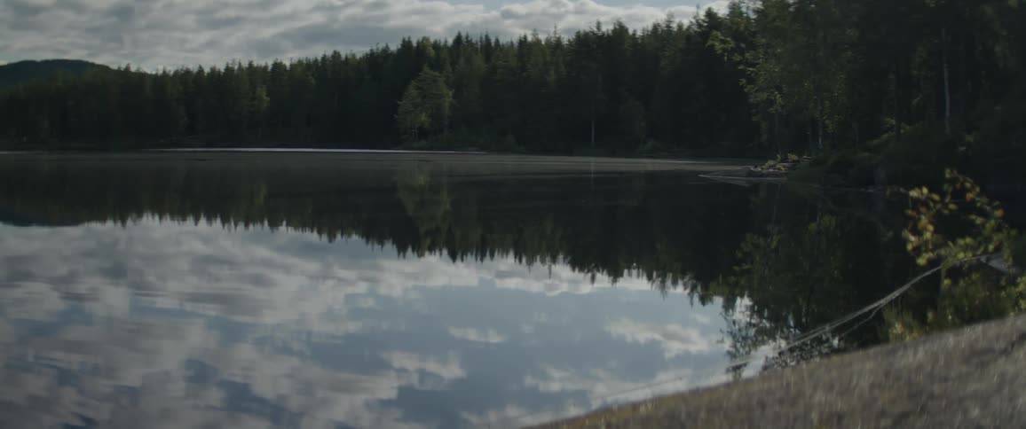 Landscape of a calm lake reflecting the surrounding coniferous trees