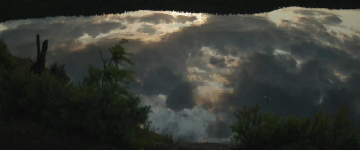 The surface of a body of water that is reflecting the sky which is full of gray clouds and there is vegetation on the edge