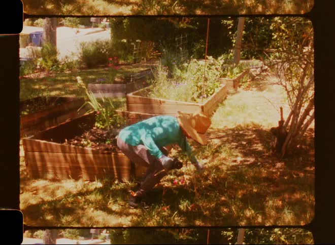 Female gardener picks up twigs and other lawn debris in her garden