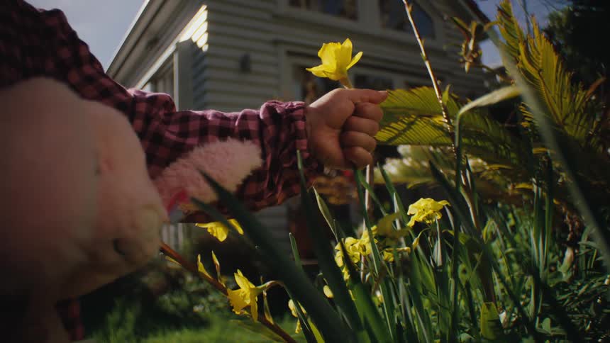 Child holding a teddy bear and with the other hand picking a yellow flower in the backyard of a house