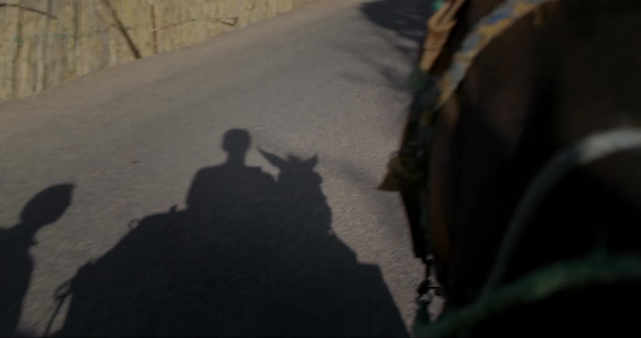Shadow of a person riding a horse