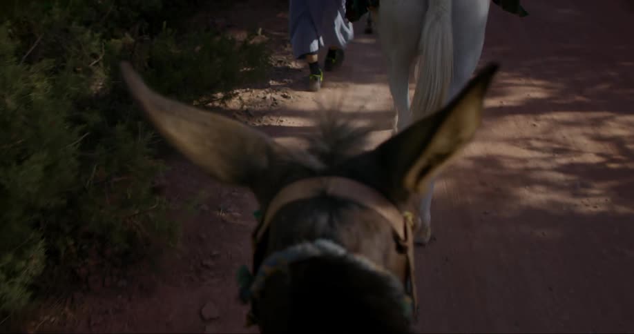 A donkey walks along a dusty path following people and a white horse
