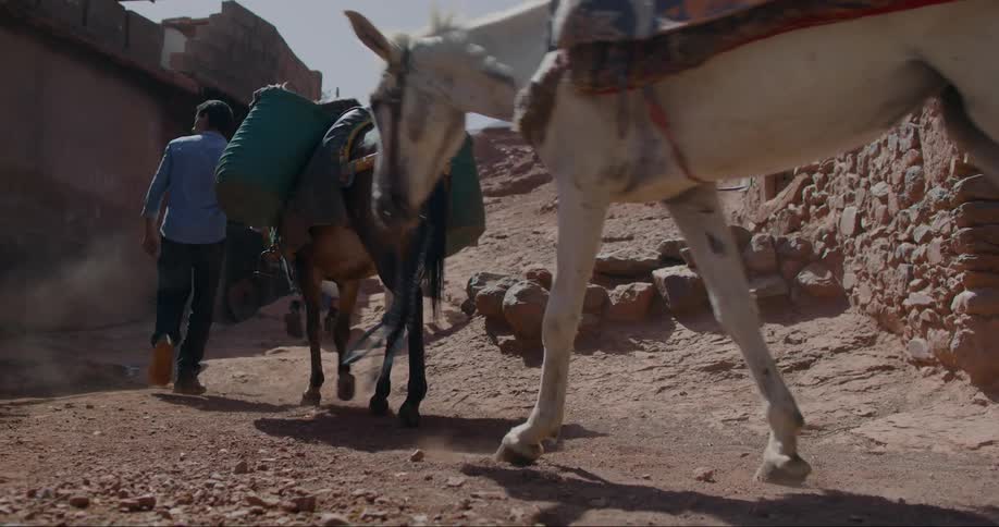 People walking and carrying horses through a dry climate region