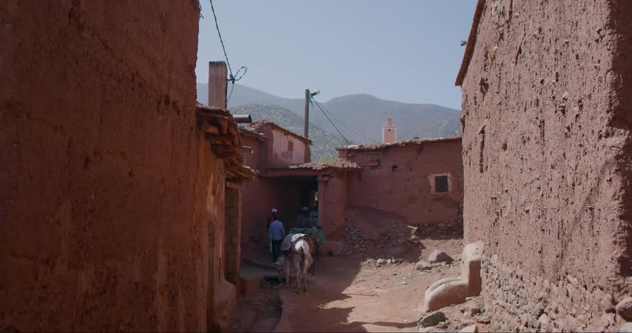 People leading beasts of burden walk through a small rural town near the mountains