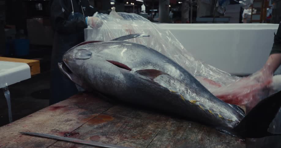Two men empty a large fish from a container