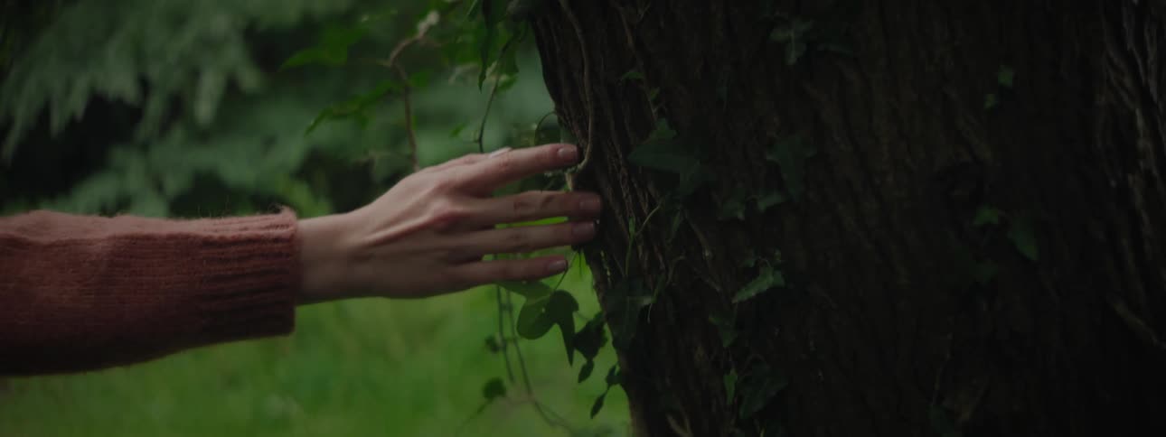 Womans hand touches and feels the texture of a tree trunk partially covered in ivy