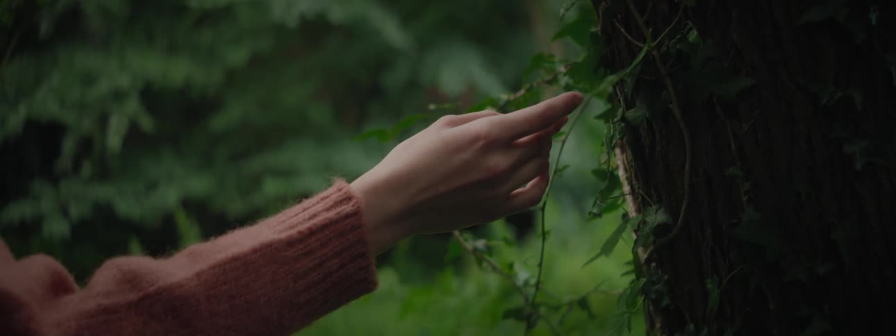 Womans hand touching the leaves and roots of a tree in nature