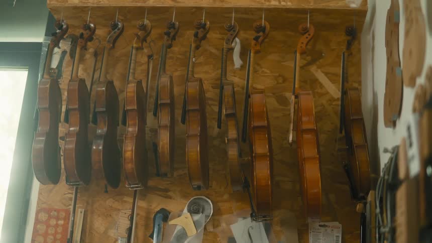 Varnished violins hanging on a wall