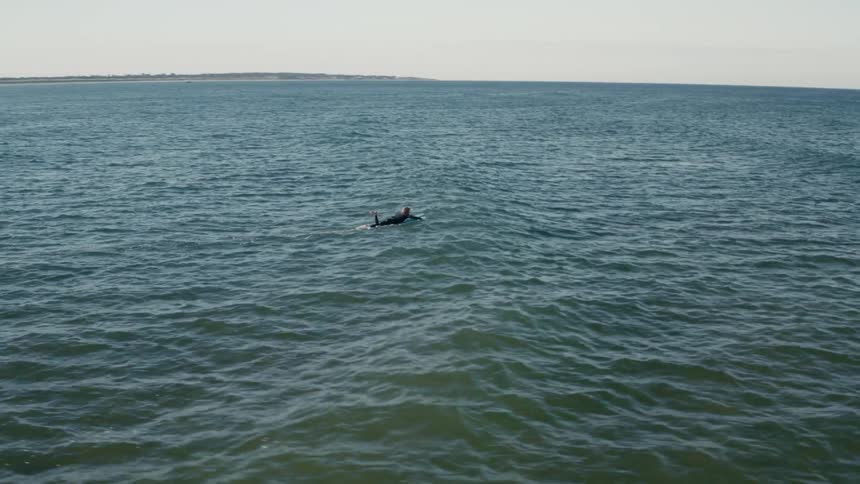 A surfer paddles their board far away from a coast