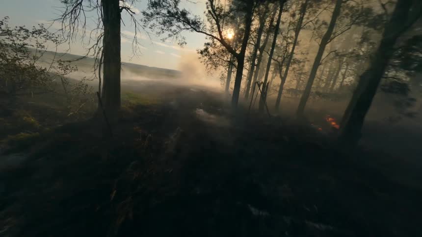 FPV Drone flies through a field with trees on fire on the edge of a lake