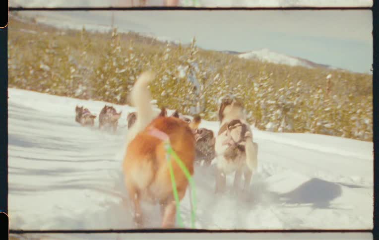 A team of sled dogs pulling a sled through a snowy landscape with mountains in the background