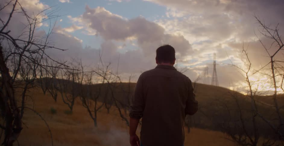 A back view of a man watching the sky