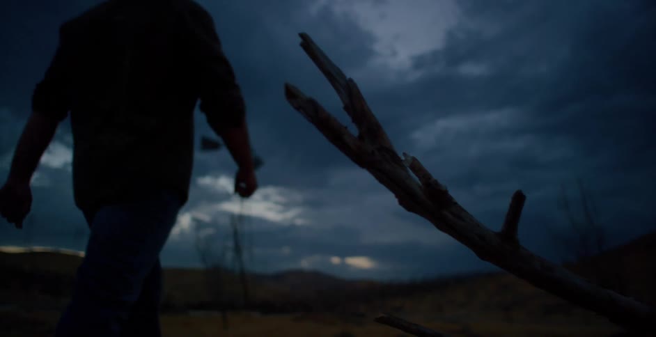 A man in a hat standing alone in a desolate landscape facing a stormy sky with a fallen tree branch behind him