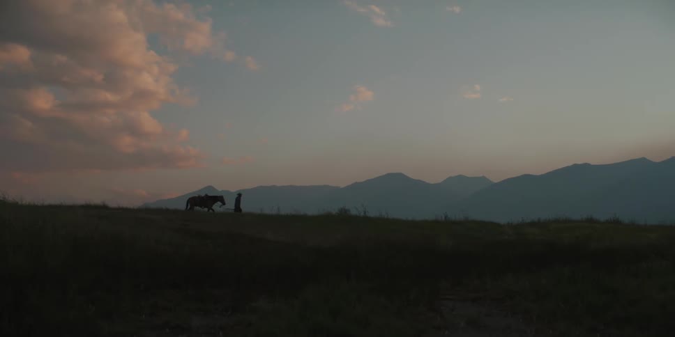 Silhouette of a person walking with a horse in a field in a morning and mountains in the background