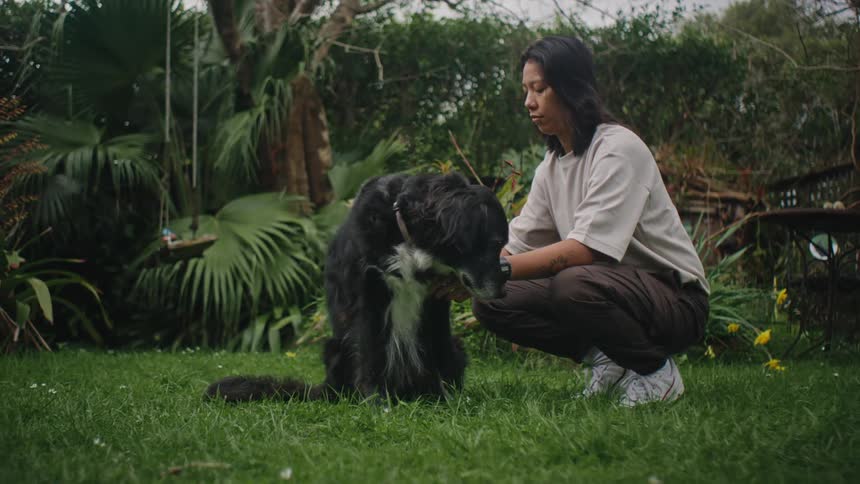 A person crouches on the grass with a large black and white dog beside them